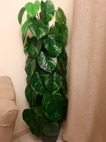 Artificial plants new.