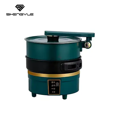 Compact Electric Multi Cooker Steamer - 2-in-1 Mini Pot