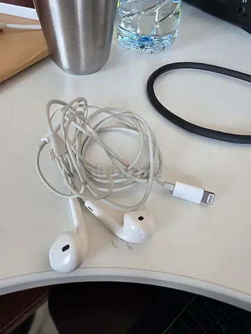 Apple earpods type lightning