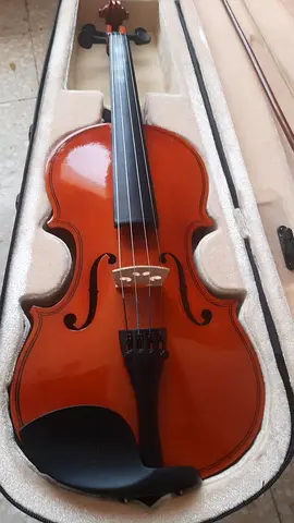 Full-size Violin with Case and Bow