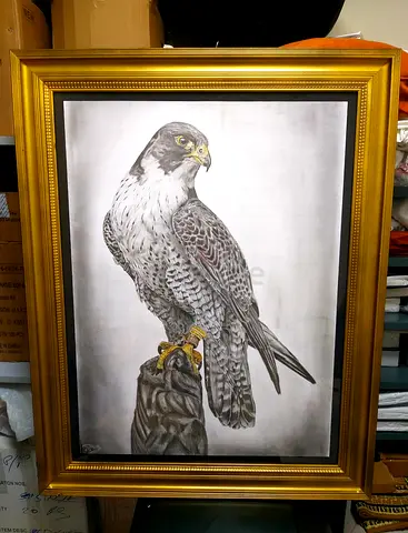Uae The hawk portrait art for sale