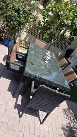 BIG BRAUN GARDEN TABLE with 8 CHAIRS and seat pillows.