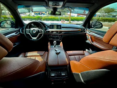 2016 BMW X6 photo 10