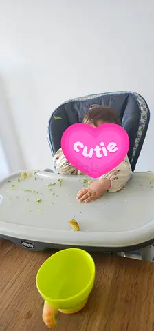 Chicco polly high chair - sturdy used baby feeding chair, adjustable, foldable, with wheels