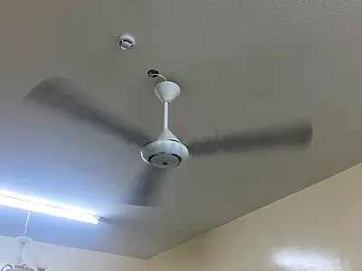 Ceiling Fan