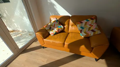 Leather 2-Seater Sofa in Tan Orange