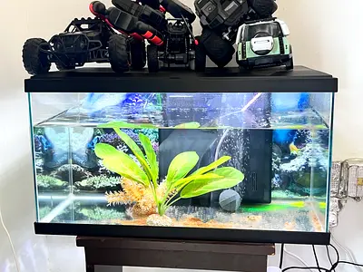 Fish aquarium/ Tank