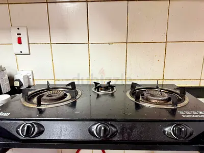 Gas stove