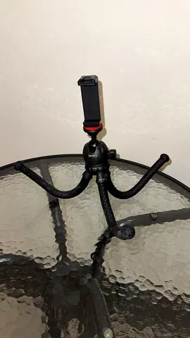 الشارقة التعاون