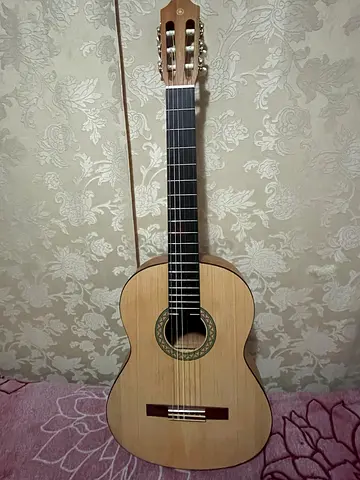 Acoustic guitar