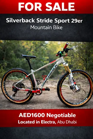 Mountain bike
