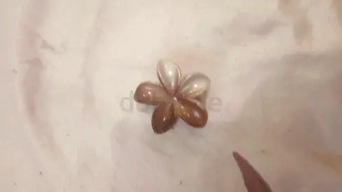 Five-petal Mother of Pearl Flower Brooch/Pin