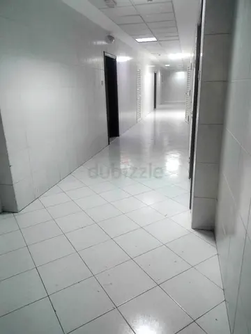 Executive bachelor bed space for keralite