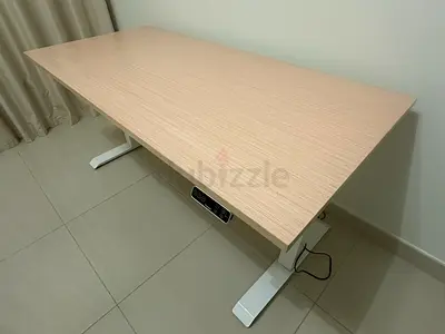 Flexispot Standing Desk