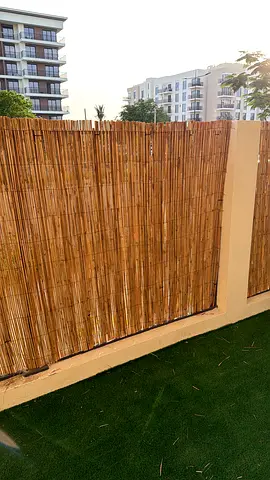 Bamboo privacy fence
