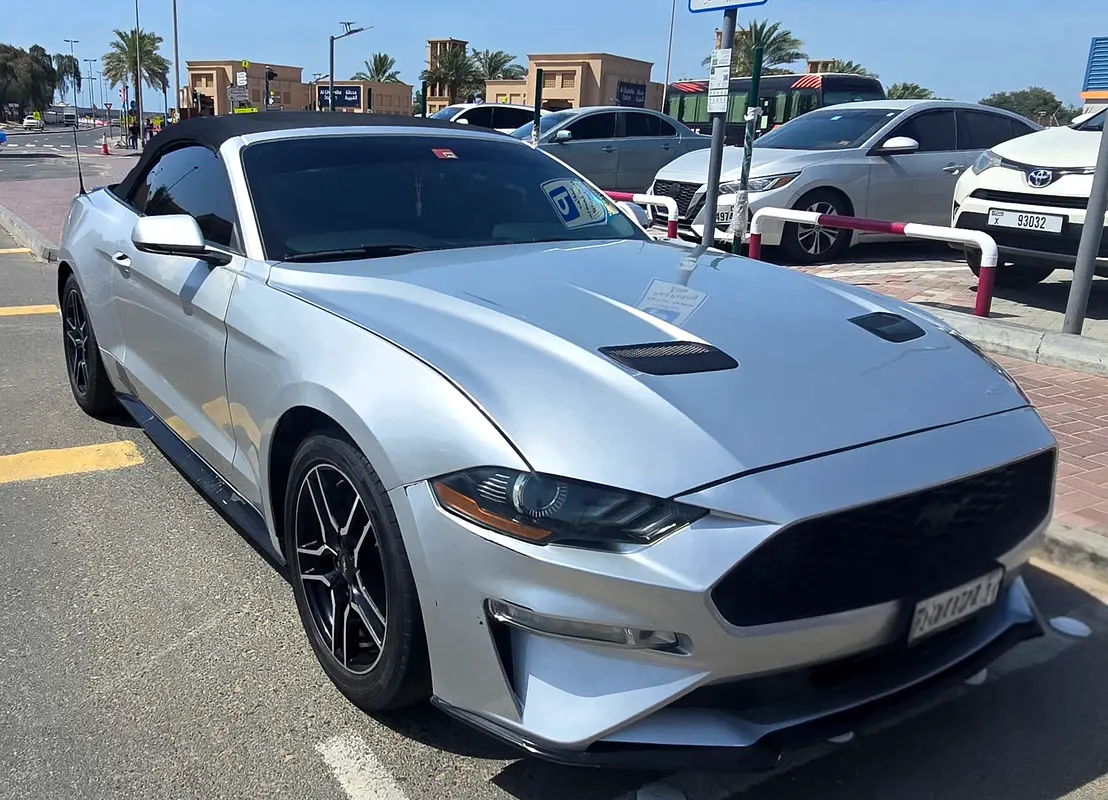 Ford Mustang 2019 — photo 1 of 18