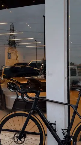 Canyon ultimate 2024