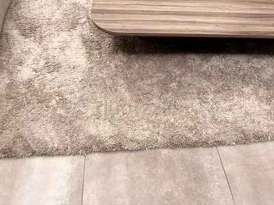 200*290 Beige shaggy area rug - soft, good condition