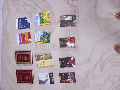 Collection of 12 Arabic and English Books — mixed genres, used
