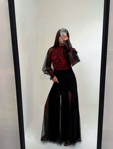 Black and Red Embroidered Mesh Top with silk sleeves