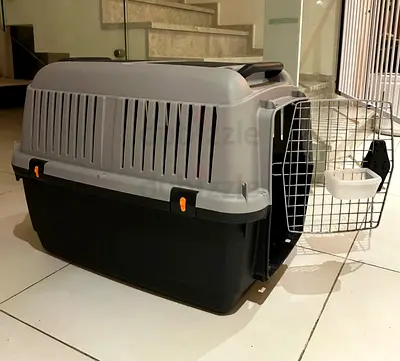 Cats and dogs carriers for air travel