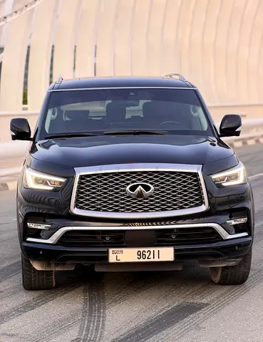 40% OFF Discount - Free Delivery- Tabby Available- Best Price