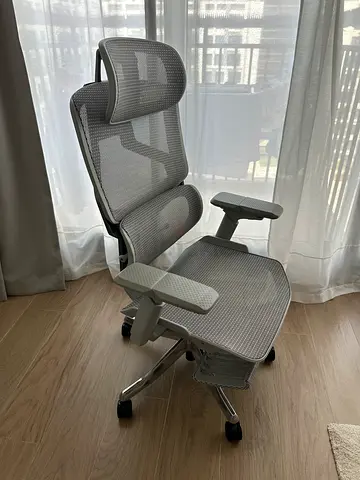 Skyland Ergonomic Office Chair High-Back Mesh Design, Footrest, Reclining (Grey)