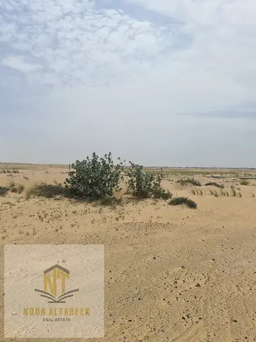 فرصة استثمارية قوية تملك حر لكل العرب – أرض تجارية للبيع في البليدة 2 على الشارع الرئيسي