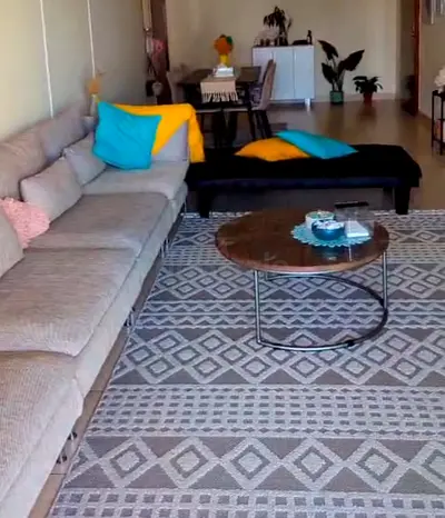 💰 Special all-in price for everything, Sofas, rag, dinning table, coffee table