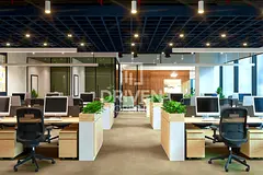 Dewa and Chiller Included | Brand New | Furnished