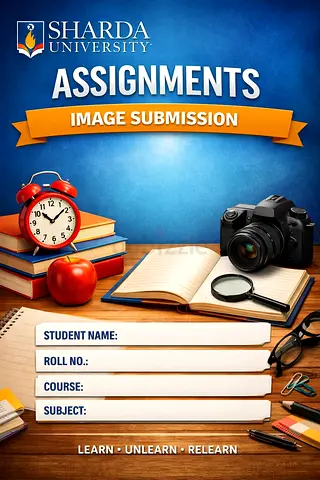 University assignment Writing