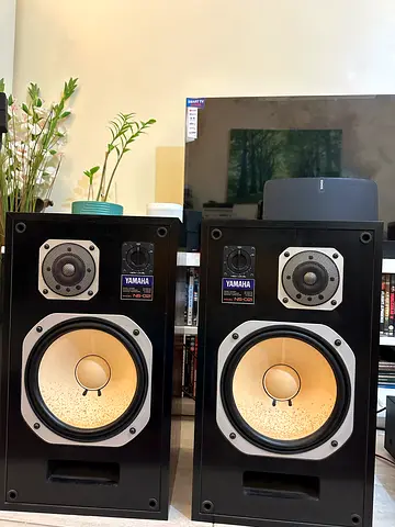 Yamaha NS -021 2 Way Speaker