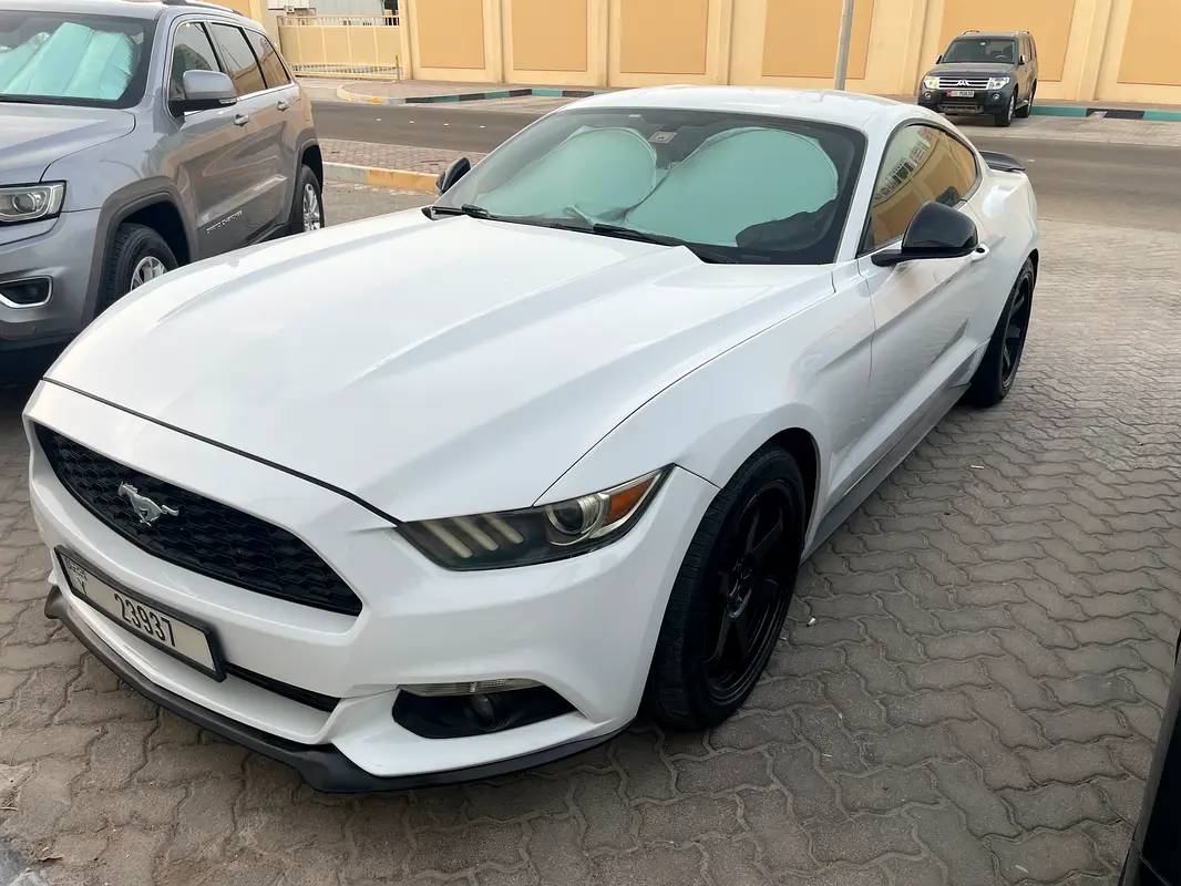 Ford Mustang 2015 — photo 1 of 8