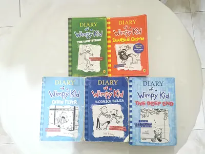 Diary of a Wimpy Kid book - set of 5