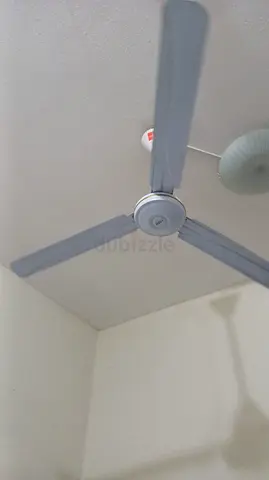 Ceiling Fan - 3 Blade, Good Working Condition