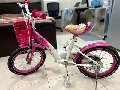 Childrens pink 16-inch bike with basket — good condition
