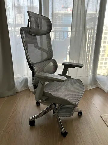 Skyland Ergonomic Office Chair High-Back Mesh Design, Footrest, Reclining (Grey)