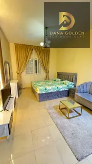 Furnished studio with hotel-style furniture and internet