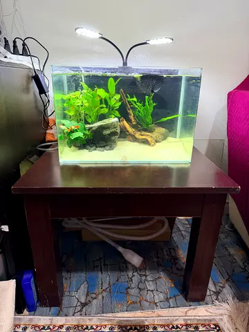 Complete fish aquarium setup with table and all accessories