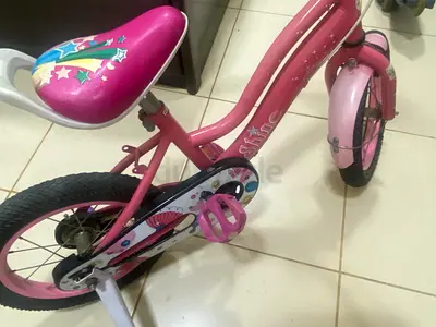 Cycle - 50 aed only