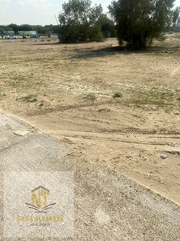 Land for sale in Blida, freehold, all Arab nationalities, with an initial payment and installments over two years