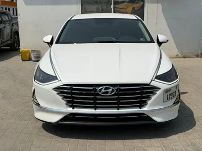 Hyundai Sonata 2021 model Minor paint