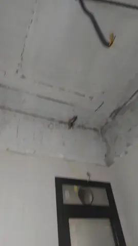 Renovation and Painting