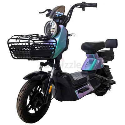 Wind Horse 500W GROCERY SCOOTER