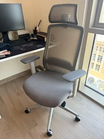 Ergonomic Mesh Office Chair with Headrest