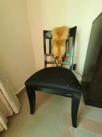 Black wooden bedroom chair, Brand : Swarovski