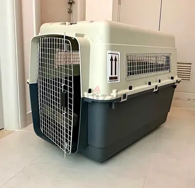 Dogs carriers for large dogs