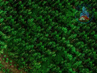 35% ROI | 1% MONTHLY | LAGOON | GATED | NEAR DUBAI