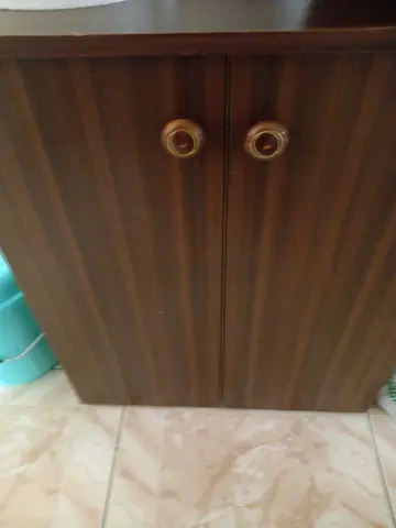 Compact 2-Door Wooden Cabinet - Dark Wood Finish