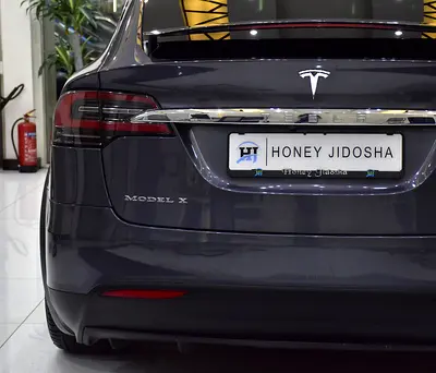 صورة 9 لـ 2019 Tesla MODEL X